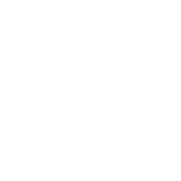 GUDI