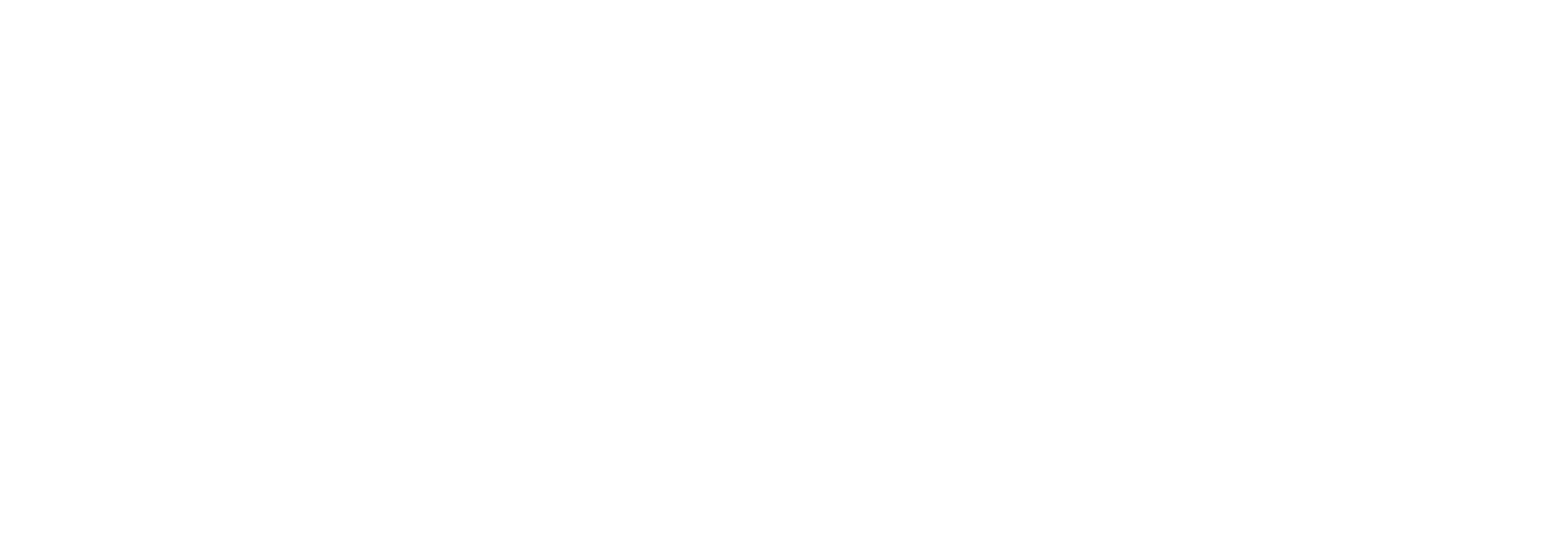 VR Gaming oficiālais logo - balts
