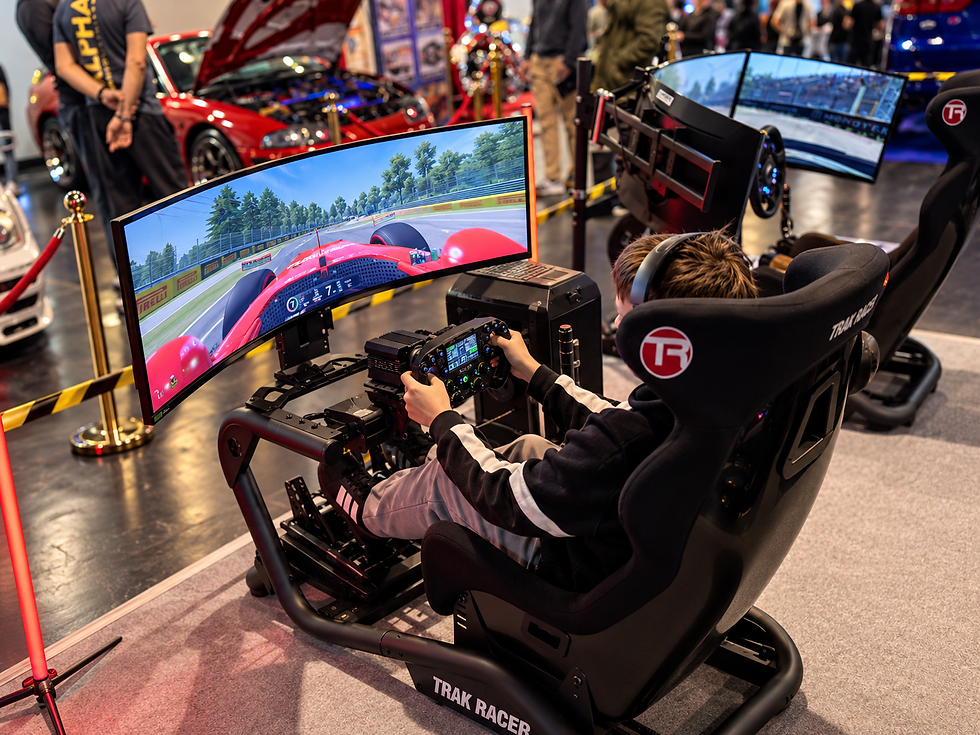 st SIMS IEKŠ AUTO EXPO.png