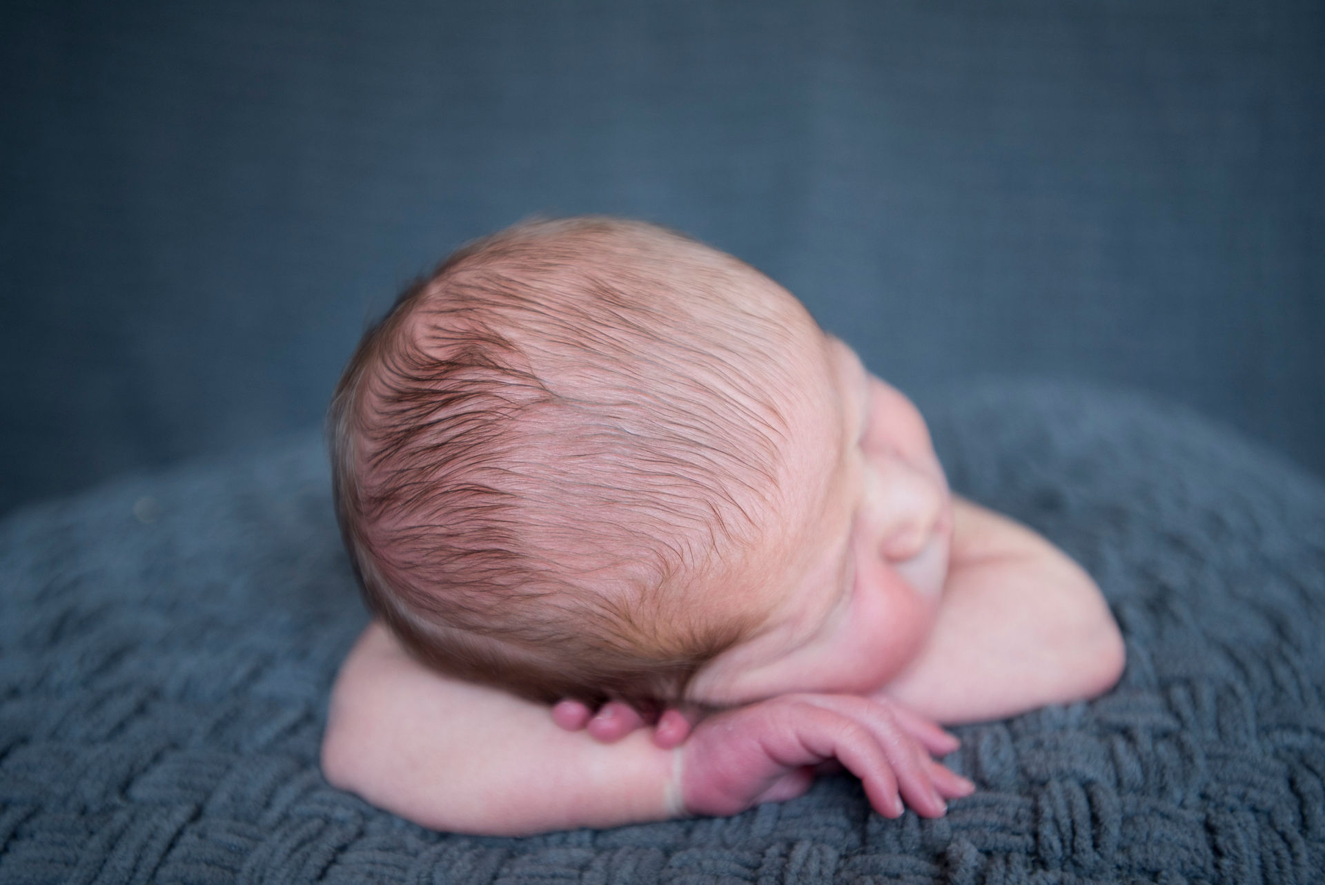 Oliver 11 Days New-with the LingerHunts (7)