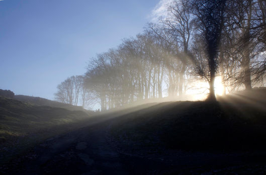 1 November morning Langcliffe 2 edit 1.jpg