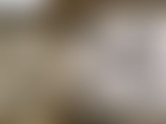 El trágico destino de las 30 colonizadoras del Estrecho de Magallanes