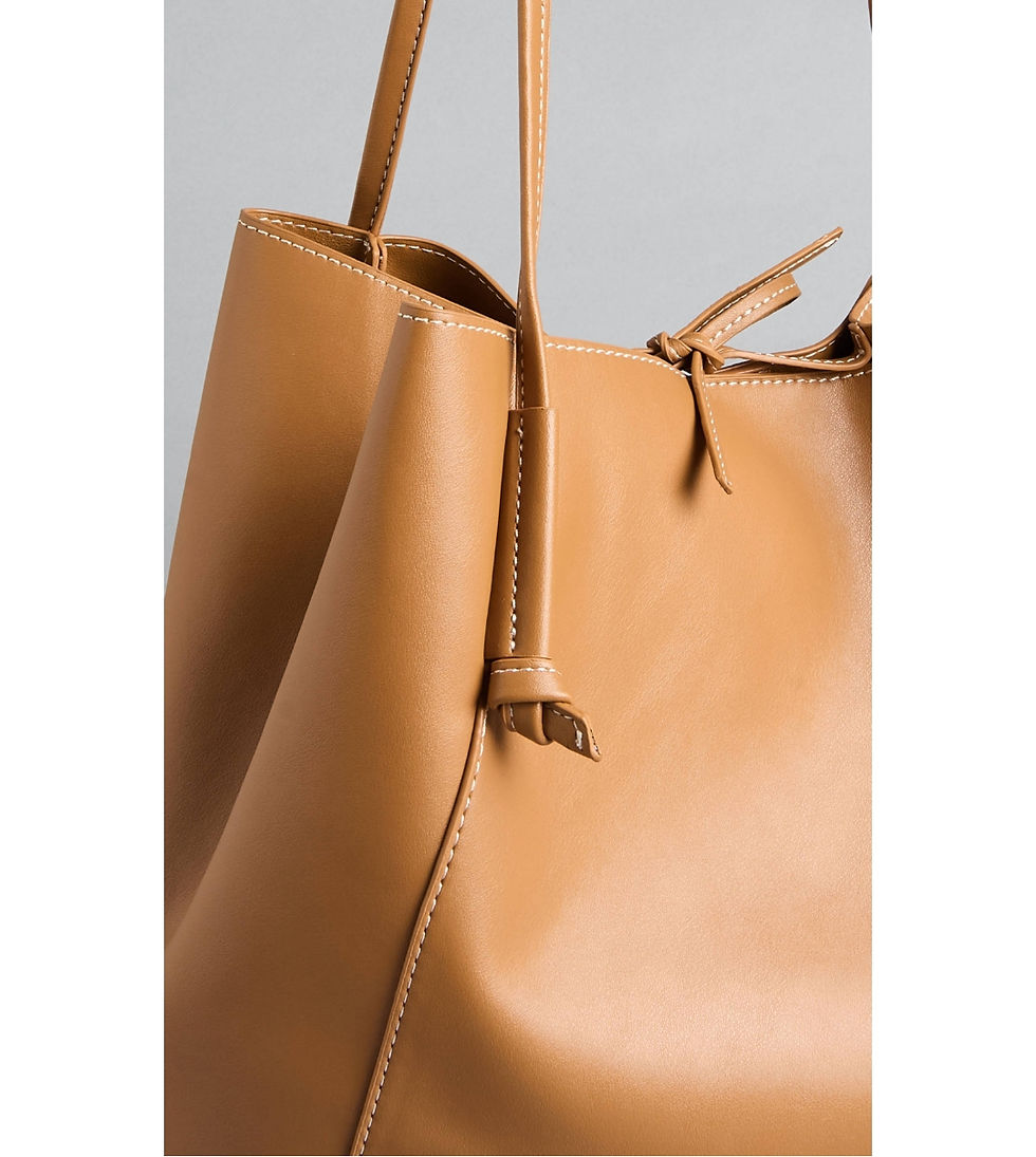 Thumbnail: World Bank 🤎 Bag 
