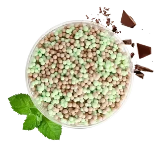Mint-Chocolate__07443