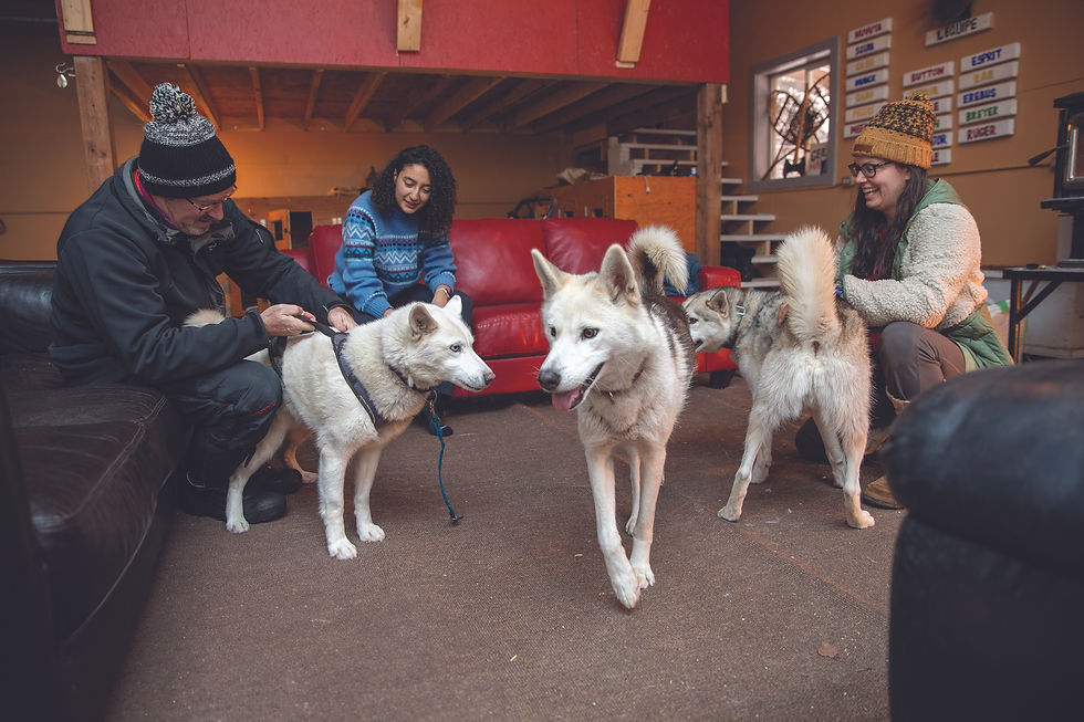 Harness Adventure Mushing Co.-144.jpg