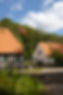 borkopmolle.karlottafoto.-3439.jpg