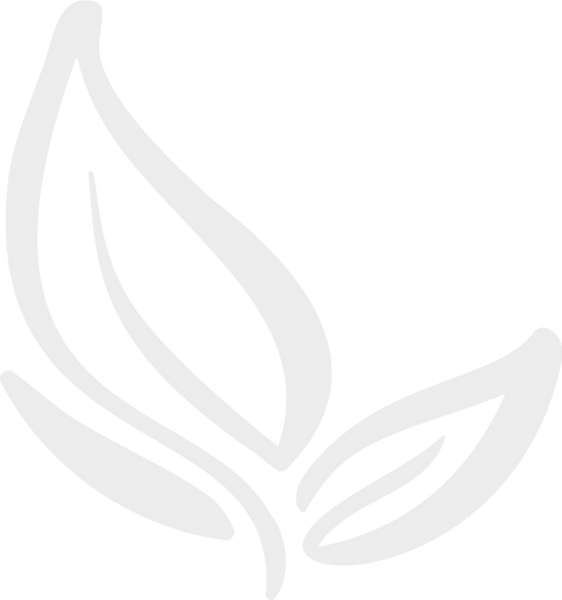 1000px-png-arka-plan-seffaf (2) (2)_edit