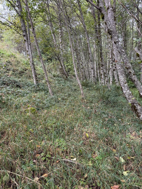 Where the Trail Meets the Shadow...