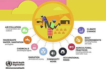 Screen Shot 2022-01-26 at 8.07.16 PM.png