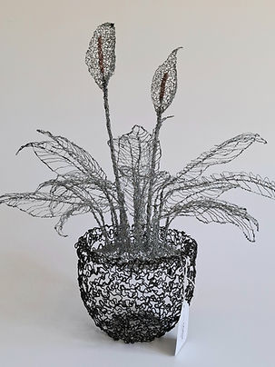 Potted Peace Lily.jpg