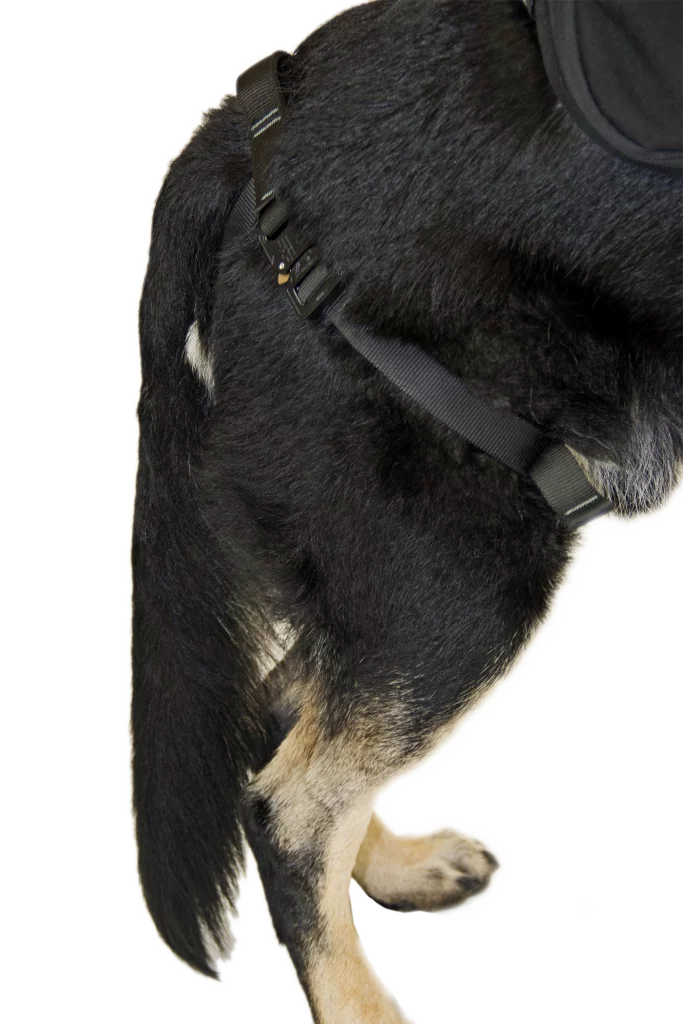 Thumbnail: CMC-K9 PROSERIES® RAPPEL HARNESS