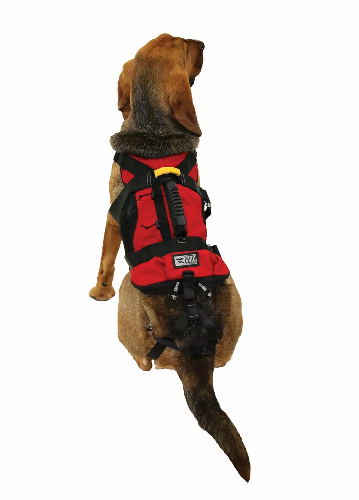 Thumbnail: CMC-K9 RAPPEL HARNESS