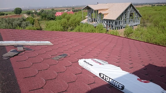 Asphalt Shingle / BTM