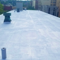 Federal Bldg Roof-FCCR PAGE.png