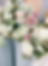 Charlottesville florist