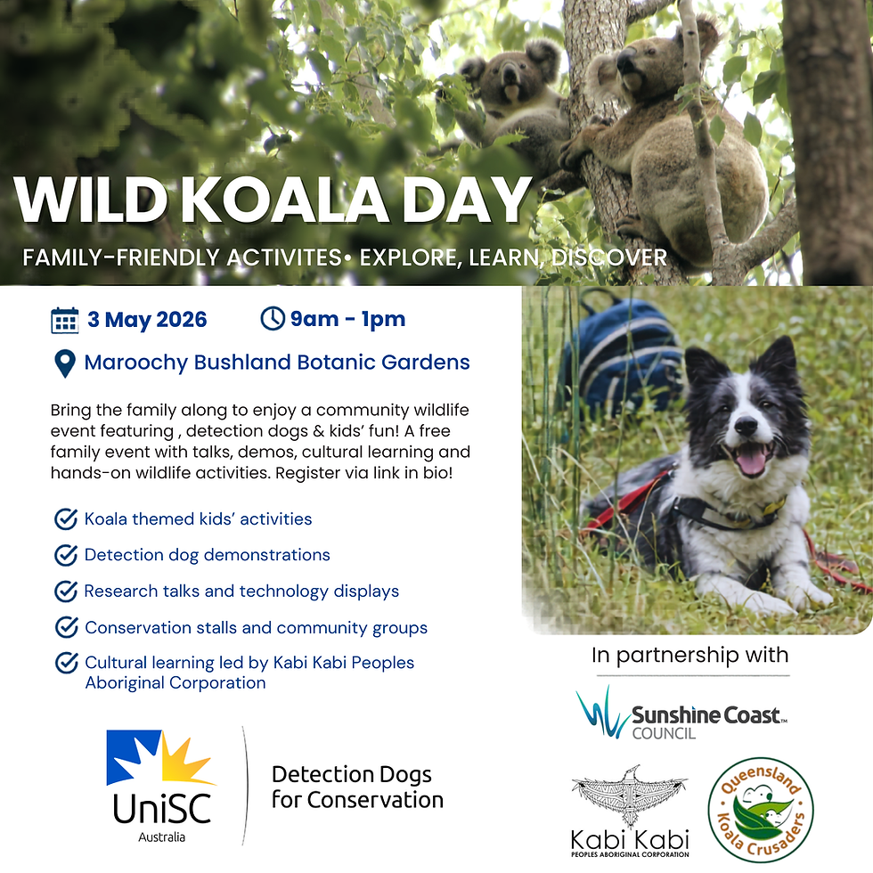 Wild Koala Day