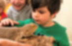 IMG_2173%20(2)_edited