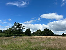 image3 (2) - Copy.jpeg