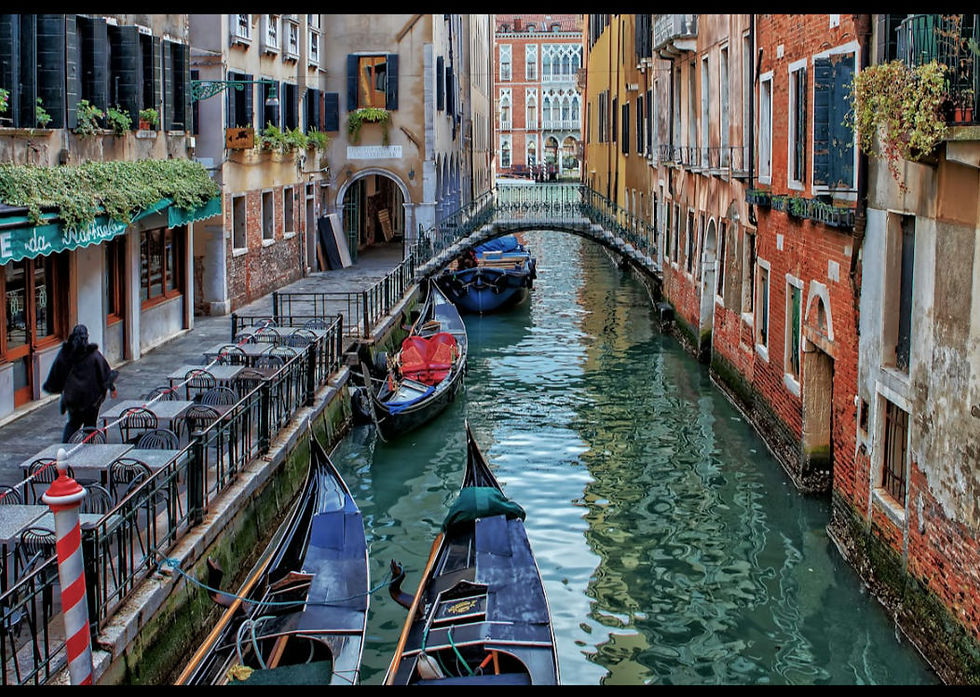 The Legend of the Venetian Rose: The Tradition of the Bòcolo