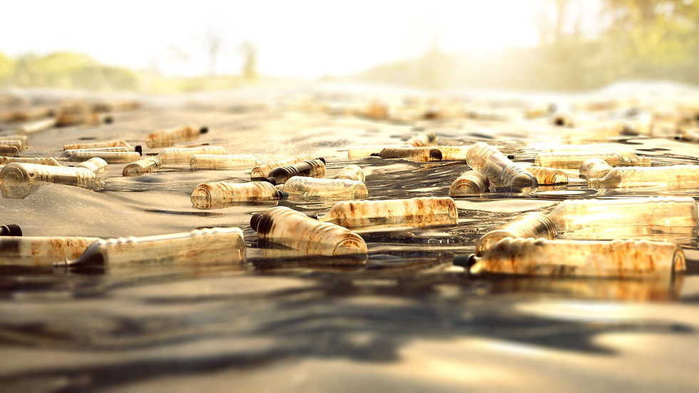 AdobeStock_211798734.jpeg