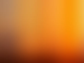 Parshat Pekudei: Building a Home for Hashem — With Our Hearts