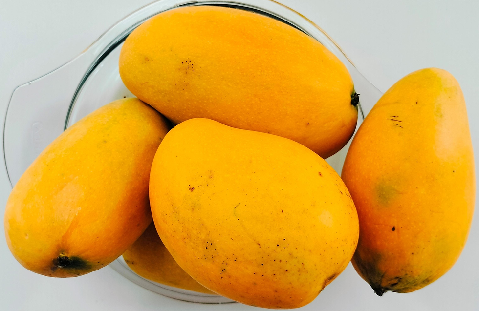 Parashat Korach: From Jealousy to Teshuvah