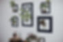 evercare30_websize.jpg