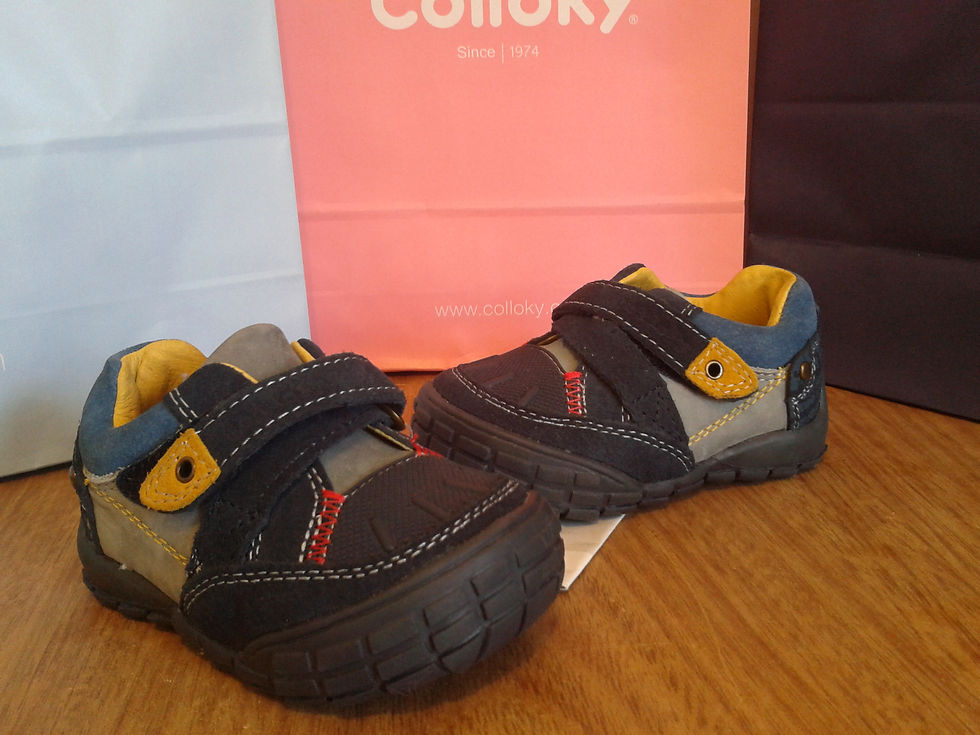 GATEADOR BOTIN N°19 COLLOKY