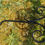 Thumbnail: Hanging Basket Bracket (14 inch reach)
