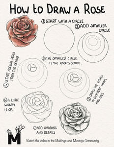 How to Draw a Rose: A Step-by-Step Guide