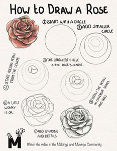How to Draw a Rose: A Step-by-Step Guide