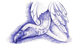 Untitled_Artwork 43 Medium