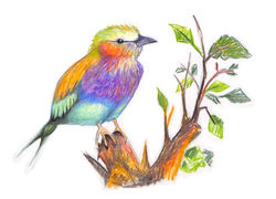 Untitled_Artwork 28 Medium