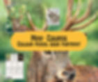 New course: Drawing wildlife in colour pencils