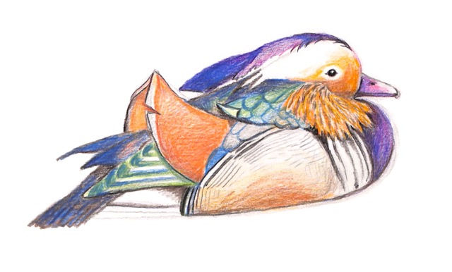 Untitled_Artwork 30 Medium