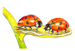 Untitled_Artwork 34 Medium