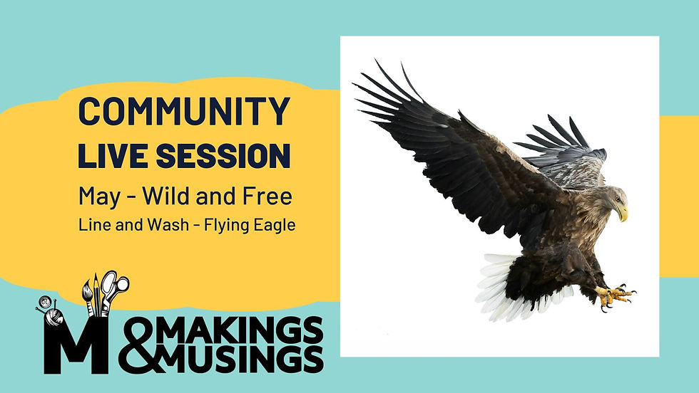Community Sketchbook Session - Line and Wash painting an Eagle