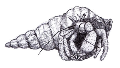 Dive into the world of art with our beginner-friendly classes and courses, designed to instill the habit of drawing for everyone, regardless of skill level. It's never too late to start your drawing journey! Join our community, where we believe everyone can draw, and let our courses guide you through the joy of creating art. Whether you're picking up a pencil for the first time or looking to make drawing a daily habit, we're here to nurture your artistic exploration and help you discover the artist within.