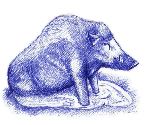 Dive into the world of beginner art classes and courses within our inclusive community, where making drawing a habit is encouraged for everyone, regardless of experience. It's never too late to start drawing! Join our vibrant community to embark on a creative journey, explore the basics of art, and discover the joy of making drawing a daily practice. Unleash your artistic potential and connect with fellow beginners as we celebrate the belief that everyone can draw.
