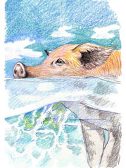Uncover the essence of your artistic identity while honing the skill of creating realistic animal portraits. Explore the intricacies of form, texture, and expression in our drawing lessons, guiding you towards a personalized and lifelike portrayal of your favorite creatures.