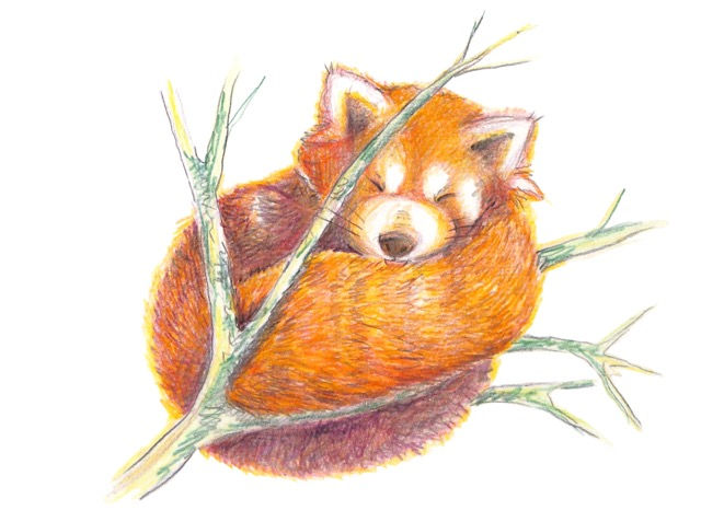 Untitled_Artwork 37 Medium