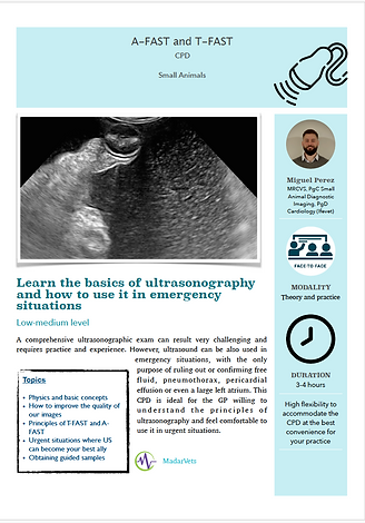 Screen Shot 2023-04-26 at 16.23.56.png