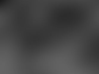 Colonic mast cell tumour in a cat