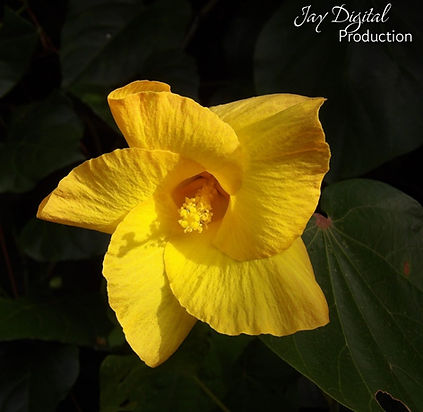 WhatsApp Image 2026-02-20 at 6.09.05 PM (1).jpeg