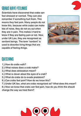 CC Resources (10).jpg