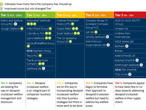 5 Tier graphic ranking UK seafood processors, supermarkets and retailers. 