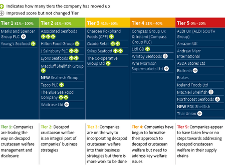5 Tier graphic ranking UK seafood processors, supermarkets and retailers.