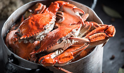 Campaigners celebrate animal welfare win to ban boiling crabs and lobsters alive