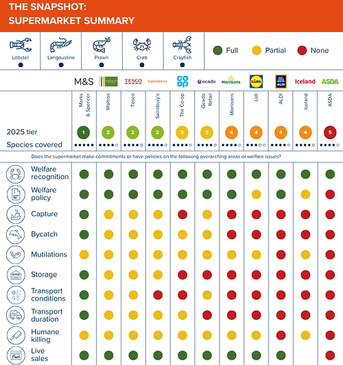 The Snapshot Supermarket Summary Table (3).png