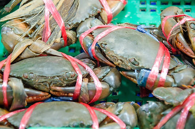 Bound brown crab 3.jpeg